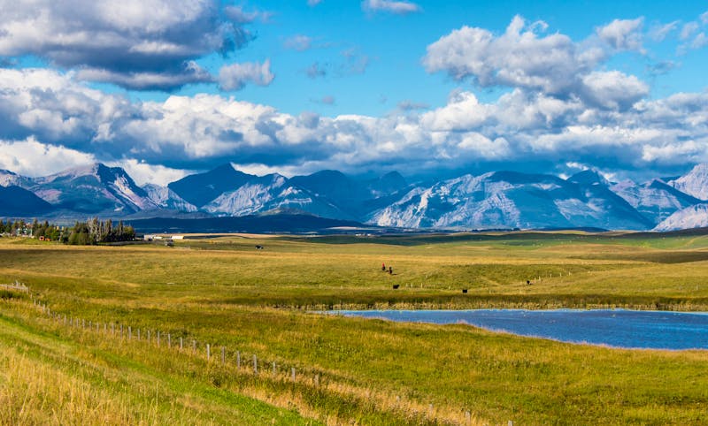 Ranch in der Provinz Alberta - im Hintergrund die Rocky Mountains - ©ashley - stock.adobe.com