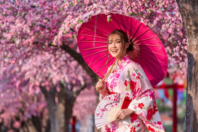 Japanerin im Kimono zur Kirschblüte in Japan - ©geargodz - stock.adobe.com