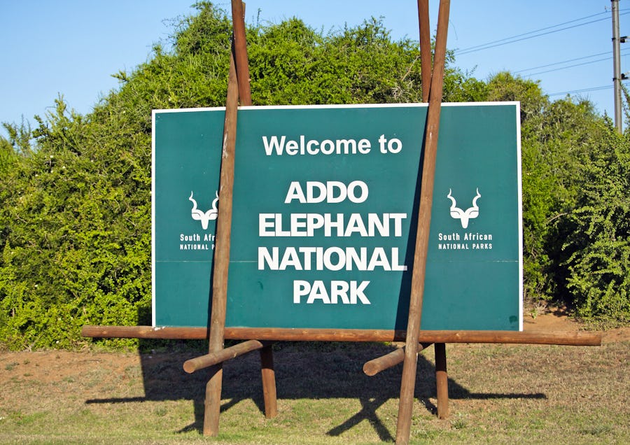 Ausflug in den Addo Elephant Nationalpark in Südafrika – © unknown