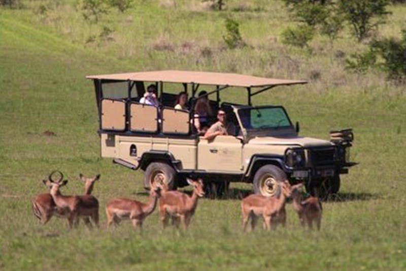 Addo Elephant Lodge in Südafrika - ©Barefoot Addo Elephant Lodge