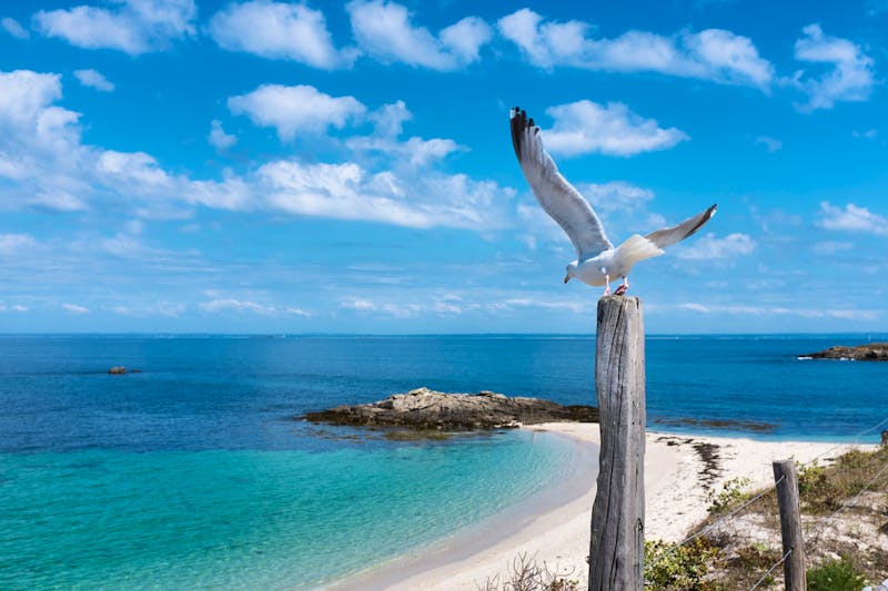 Glenan-Archipel - Strand - ©goonny - stock.adobe.com