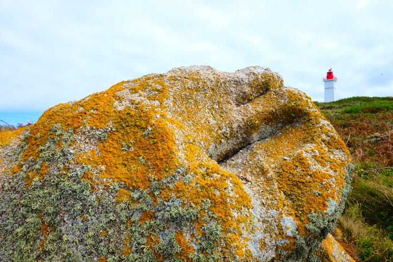 Glenan-Archipel -  steinige Küste und Leuchtturm - ©Peta - stock.adobe.com
