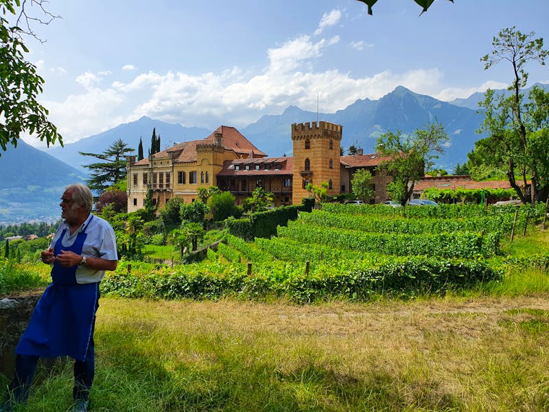 Weingut Rametz bei Meran - ©Ria Heilmann - Eberhardt TRAVEL