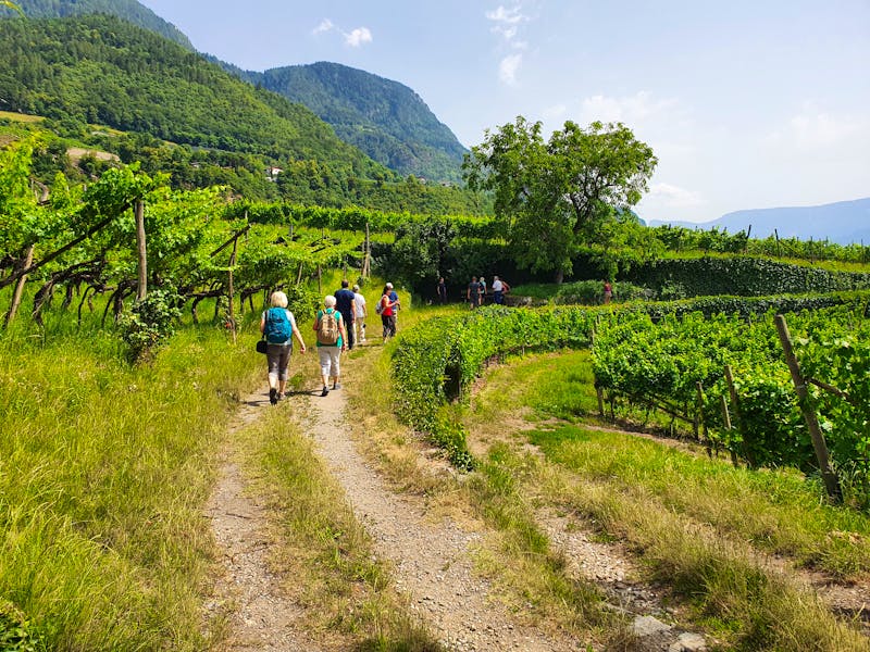 Wanderung am Weingut Rametz bei Meran - ©Ria Heilmann - Eberhardt TRAVEL