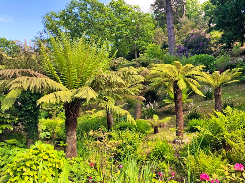 Garten am Chateau la Chaire auf der Insel Jersey - ©Annika Lembke - Eberhardt TRAVEL