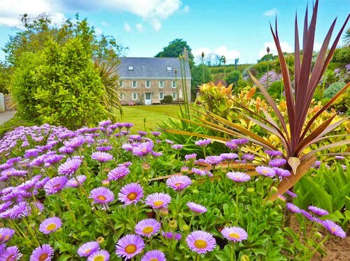 Cottage mit hübschem Garten auf der Kanalinsel Jersey &ndash; &copy; Kristin Weigel - Eberhardt TRAVEL