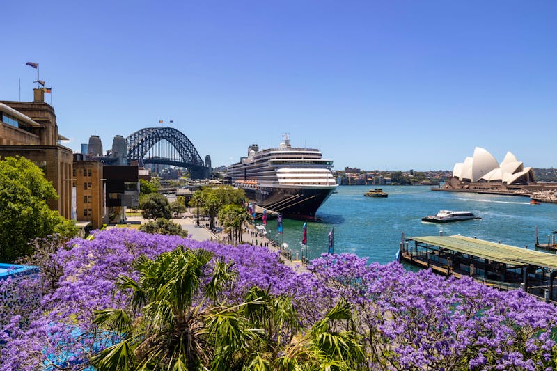 MS Westerdam in Sydney - Holland American Line - ©TIM FAIRCLOTH