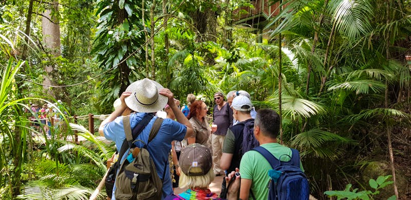 Spaziergang durch den Regenwald in Kuranda - Australien - ©Jacob Spangenberg (Eberhardt TRAVEL)