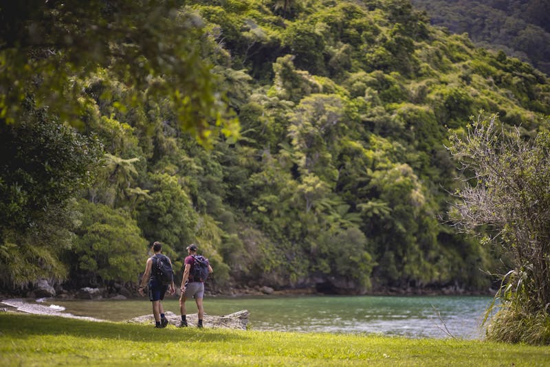 Queen Charlotte Track in den Marlborough Sounds Neuseeland - ©Miles Holden / Tourism New Zealand