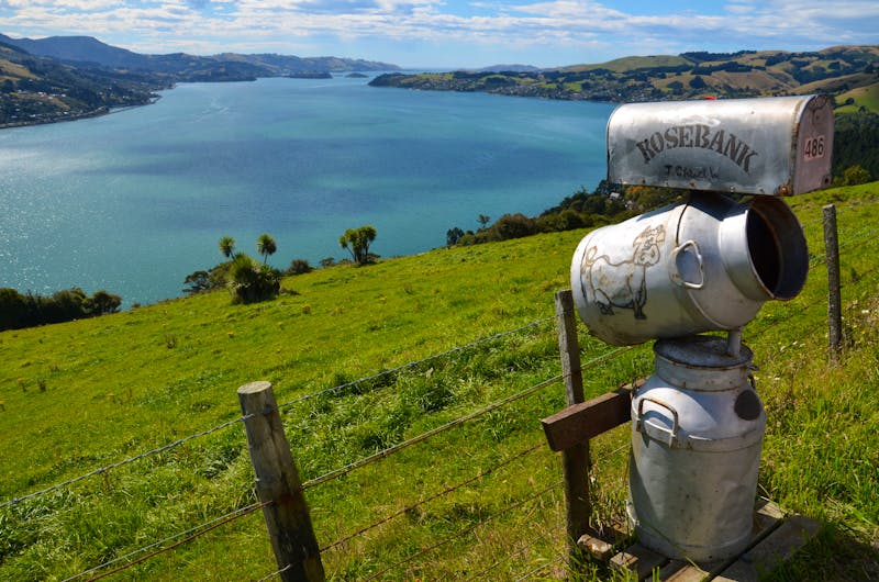 Blick auf den Otago Harbour - Neuseeland - ©Katja Neumann (Eberhardt TRAVEL)