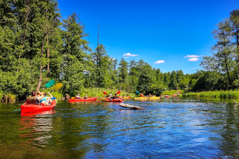 Paddeltour auf dem Fluss Krutynia in Masuren - ©Janusz Lipiński - stock.adobe.com