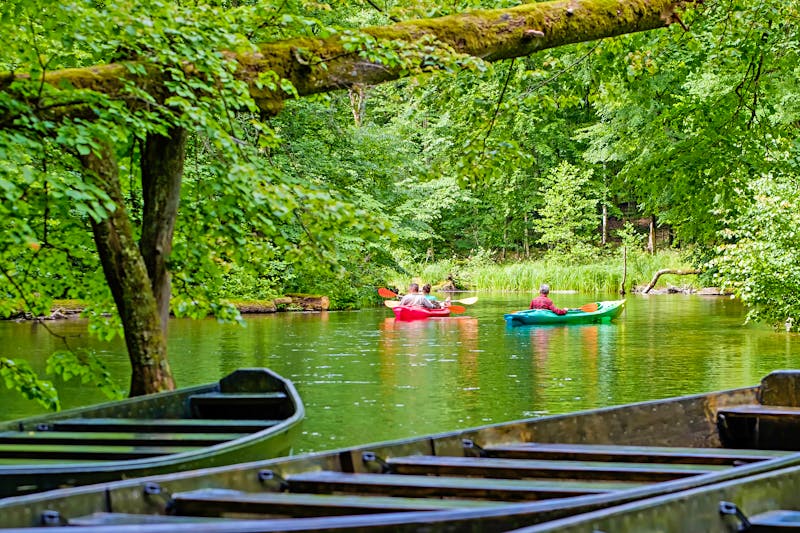 Natur pur auf dem Fluss Krutynia in Masuren - ©progarten - stock.adobe.com