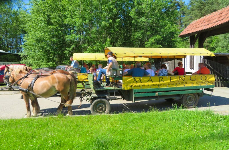 Kutschfahrt in Masuren - ©Rico Manns - Eberhardt TRAVEL