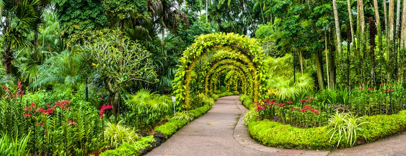 Singapur - Orchideengarten im Botanischen Garten - &copy;Janelle - stock.adobe.com