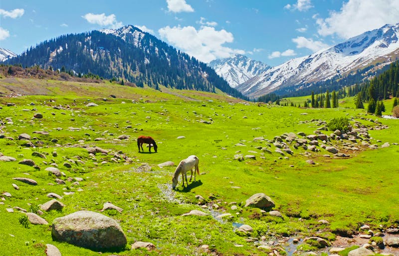 Suusamyr Hochgebirgstal in Kirgisistan - Tienschan-Gebirge - &copy;viktorov.pro - stock.adobe.com