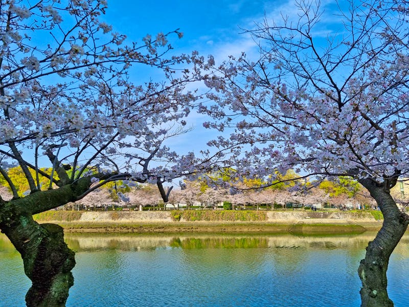 Hiroshima - Spaziergang entlang des Motoyasu-Flusses mit Blick auf den Friedenspark - ©Katrin Deutschbein - Eberhardt TRAVEL