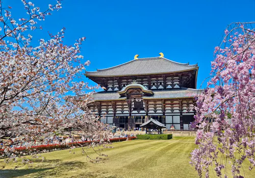 Ausflug zum Todaiji-Tempel in Nara &ndash; &copy; Katrin Deutschbein - Eberhardt TRAVEL