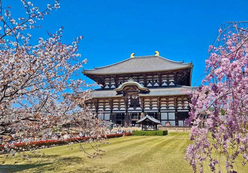 Ausflug zum Todaiji-Tempel in Nara - ©Katrin Deutschbein - Eberhardt TRAVEL
