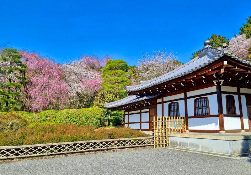 Kyoto - Garten des Ryoanji-Tempels - ©Katrin Deutschbein - Eberhardt TRAVEL