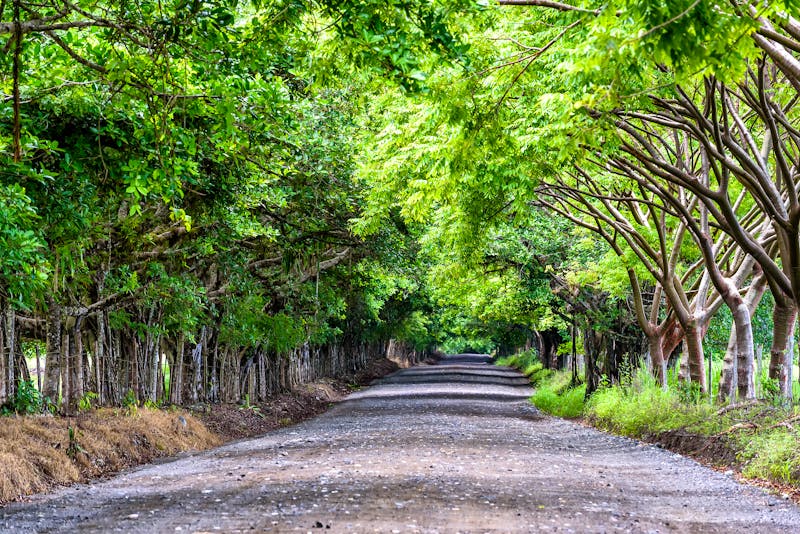 Straße zum Corcovado Nationalpark - ©cameris - stock.adobe.com