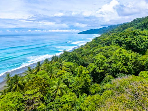 Strand des Corcovado Nationalparks in Costa Rica &ndash; &copy; Miguel - stock.adobe.com