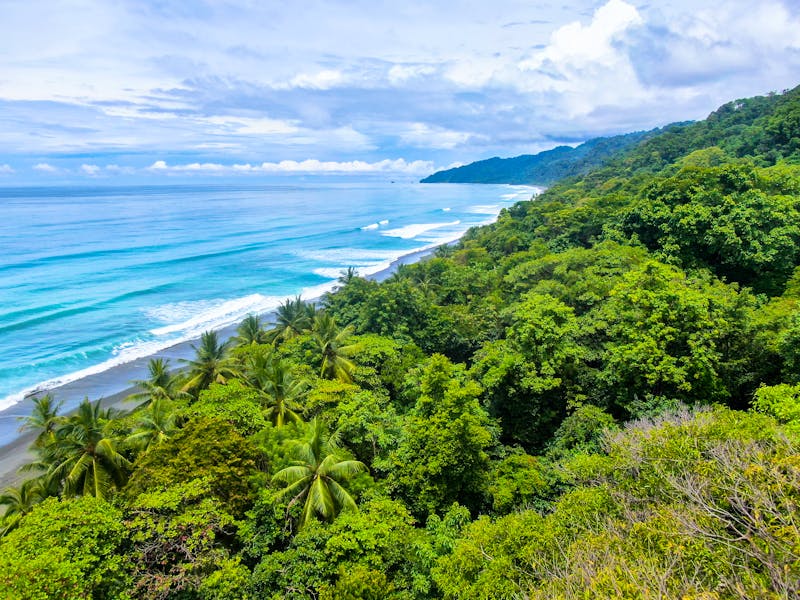 Strand des Corcovado Nationalparks in Costa Rica - ©Miguel - stock.adobe.com