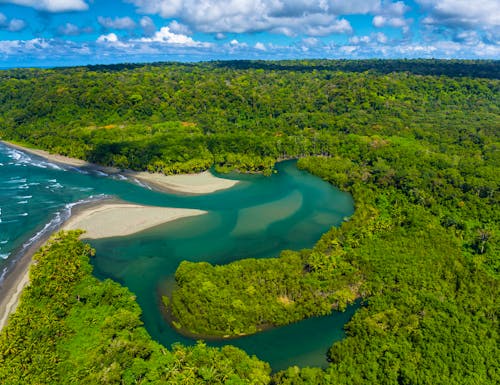 Nationalpark Corcovado in Costa Rica – © JUAN CARLOS MUNOZ - stock.adobe.com