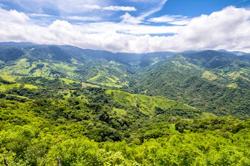 Region von Monteverde in Costa Rica &ndash; &copy; Erwin Barbé - stock.adobe.com