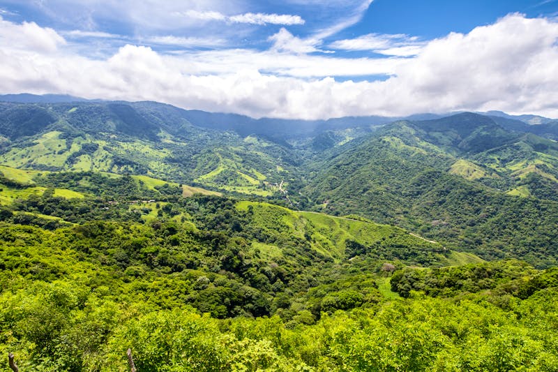 Region von Monteverde in Costa Rica - ©Erwin Barbé - stock.adobe.com