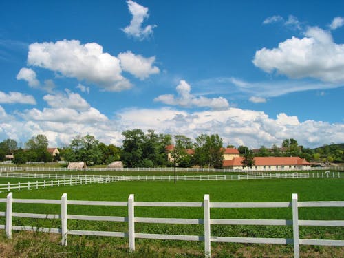 Puszta in Ungarn &ndash; &copy; Daniel Fleck - stock.adobe.com