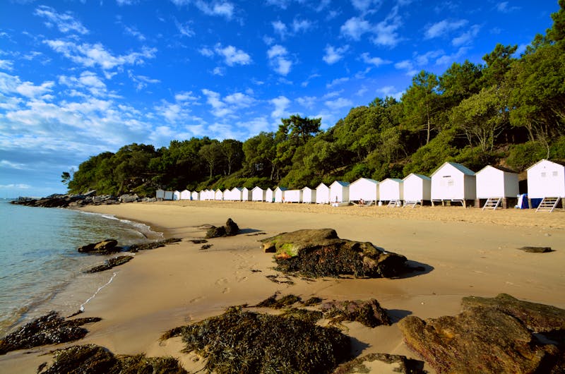 Küste auf der Insel Noirmoutier - ©didierbabarit - stock.adobe.com