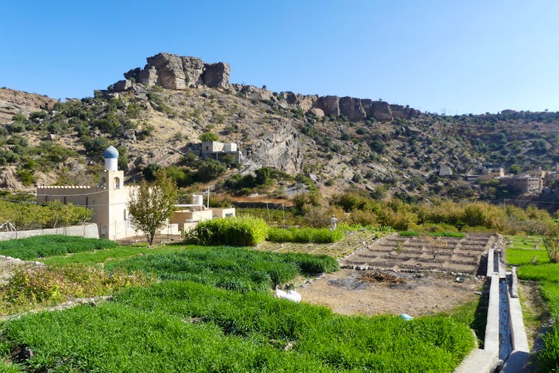 Jebel Akhdar - der Grüne Berg mit Terrassenfeldern - ©Frank Nimschowski - Eberhardt TRAVEL