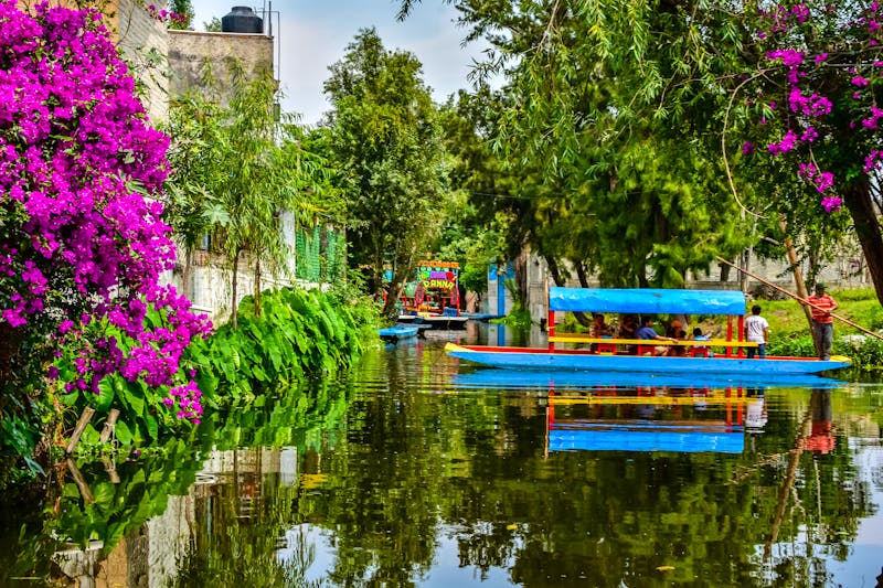Schwimmende Gärten von Xochimilco - Mexiko-Stadt - ©Marcos - stock.adobe.com