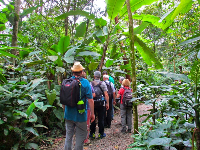 Wanderung beim Eco Center Danaus in Costa Rica - ©Constanze Hölig - Eberhardt TRAVEL