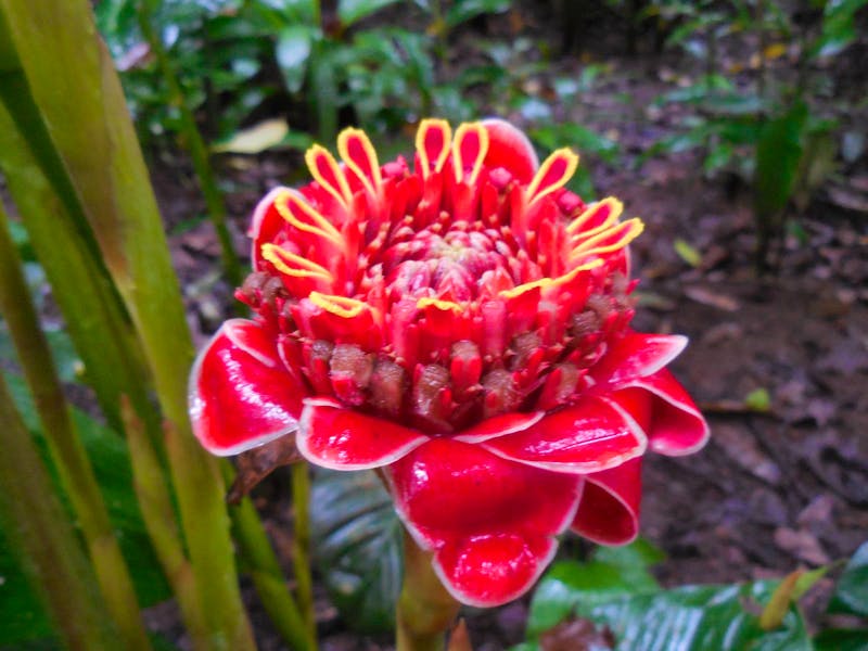 Ausflug zum Eco Center Danaus in Costa Rica - ©Kerstin Heintzel - Eberhardt TRAVEL