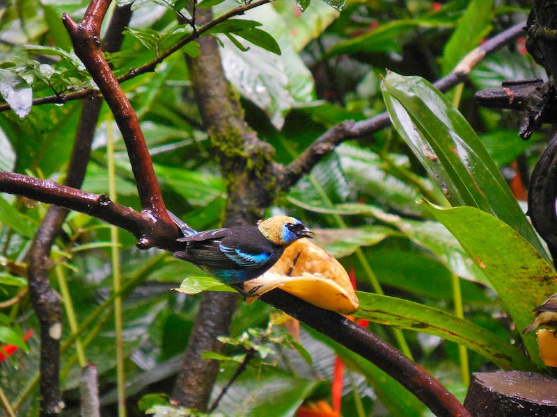 Eco Center Danaus in Costa Rica - ©Kerstin Heintzel - Eberhardt TRAVEL