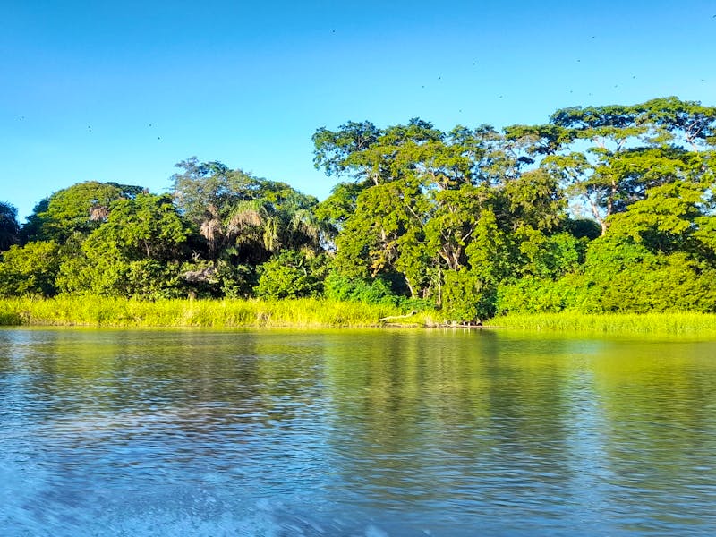 Bootsfahrt im Tortuguero Nationalpark - ©Sinah Witzig - Eberhardt TRAVEL