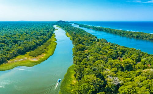 Das Dorf Tortuguero zwischen dem Fluss und dem Karibischen Meer &ndash; &copy; ingusk - stock.adobe.com