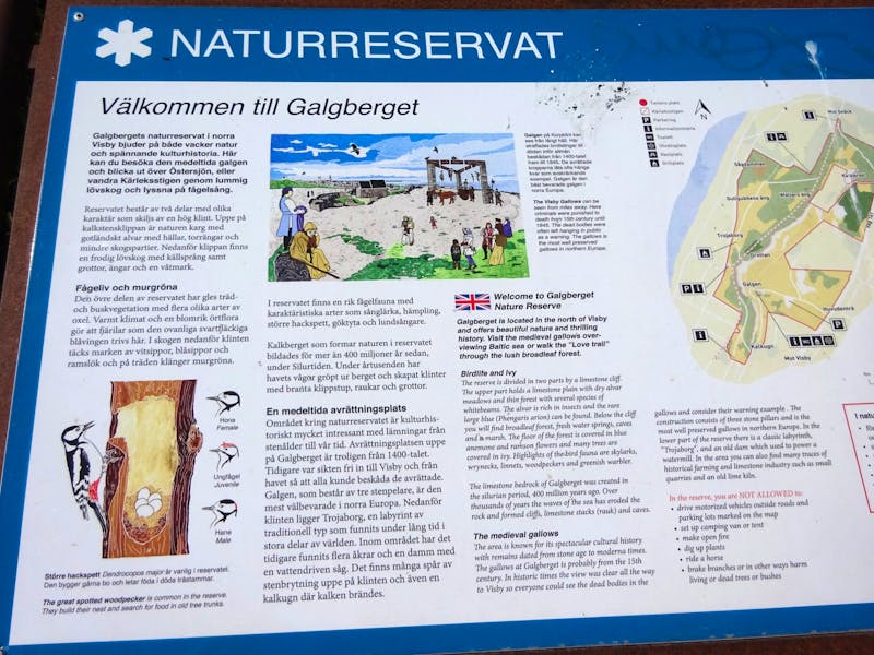 Visby auf der schwedischen Insel Gotland - Galgenberg - ©Inge Bily - Eberhardt TRAVEL