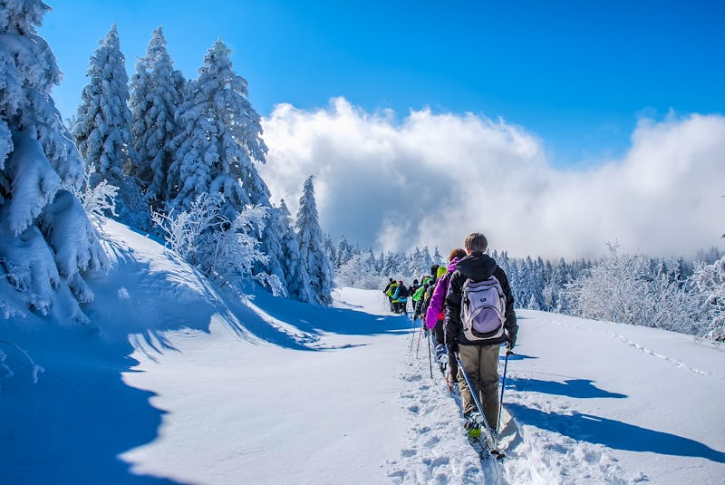 Reisegruppe bei einer Winterwanderung - ©Fluzin Dominique - stock.adobe.com