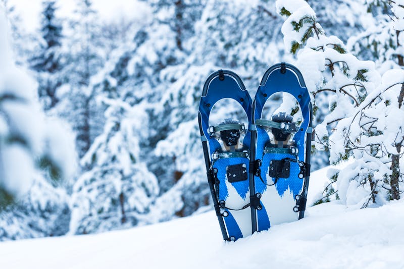 Schneeschuhe - ©Mikhail - stock.adobe.com
