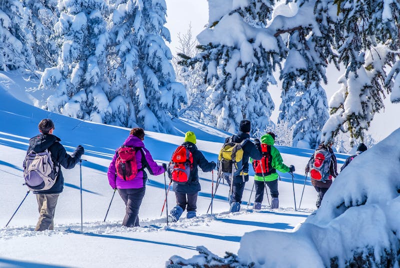 Winterwanderung in der Gruppe - &copy;Fluzin Dominique - stock.adobe.com