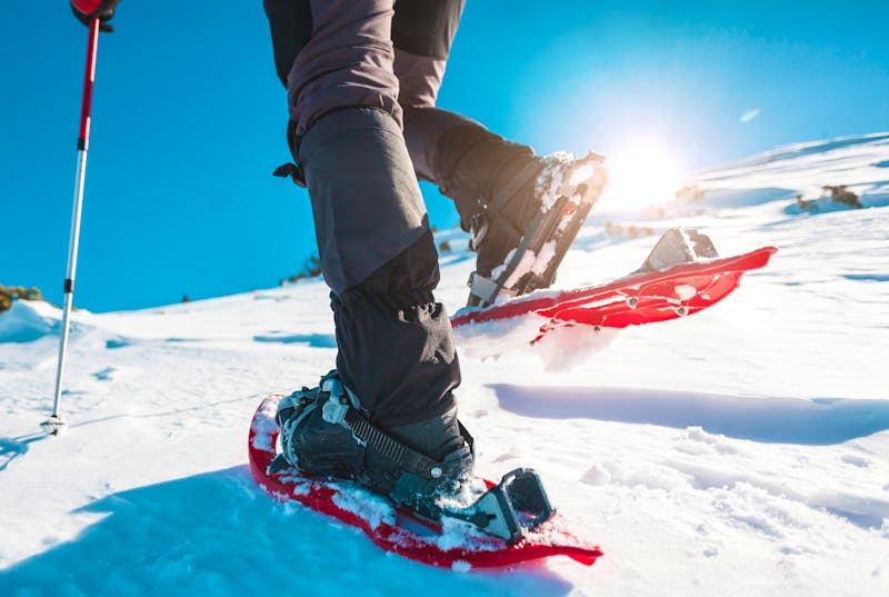 Winterwanderung mit Schneeschuhen - ©zhukovvvlad - stock.adobe.com