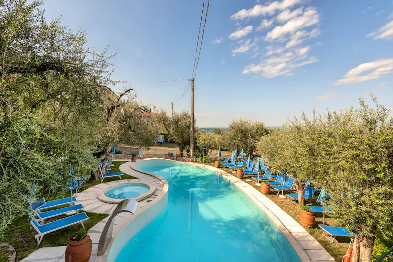 Hotel Internazionale in Torri del Benaco &ndash; &copy;Hotel Internazionale in Torri del Benaco