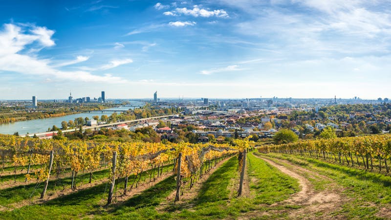 Wien Panorama über Weinberge  - ©Markus - stock.adobe.com