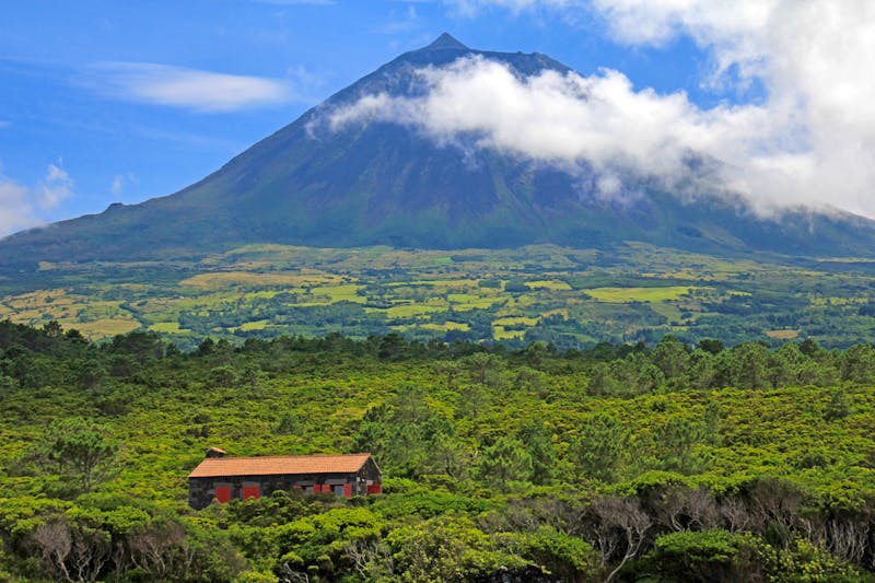 Insel Pico auf den Azoren - ©Schlierner - stock.adobe.com