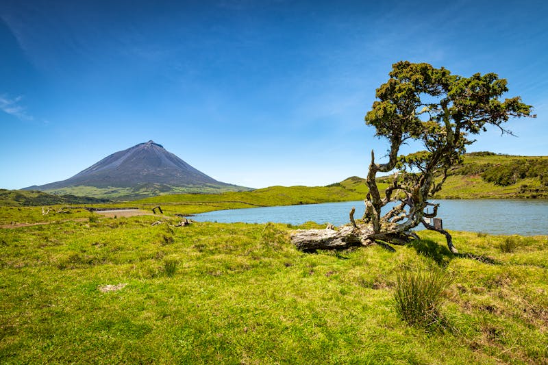 Der Pico auf den Azoren - ©lusches - stock.adobe.com