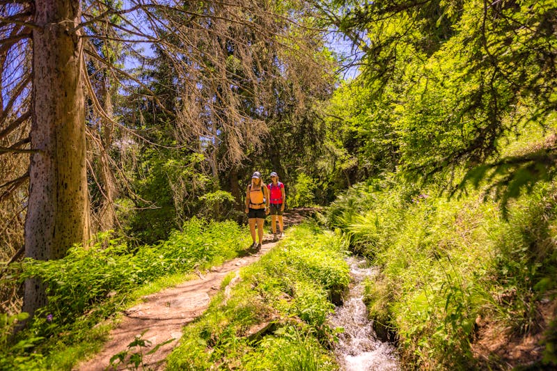 Suonen-Wanderung bei Nendaz - Bisse Vieux - ©Florian Bouvet-Fournier - Wallis Promotion