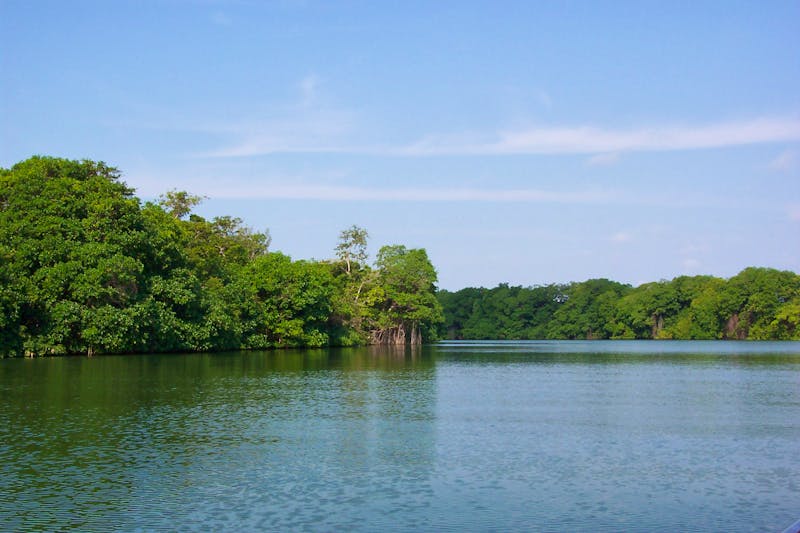 Belize River - ©Wikipedia