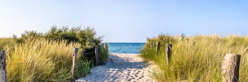 Panorama Strandweg Ostsee Dünen - ©luili - stock.adobe.com